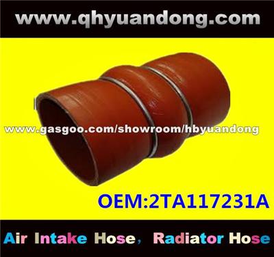 Truck Silicone Hose OEM:2TA117231A