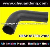 Truck Radiator Hose OEM:3875012982