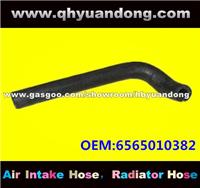 Truck Radiator Hose OEM:6565010382