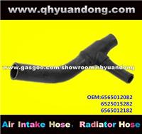 Truck Radiator Hose OEM:6565012082 6525015282 6565012182