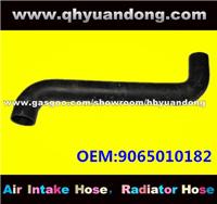 Truck Radiator Hose OEM:9065010182