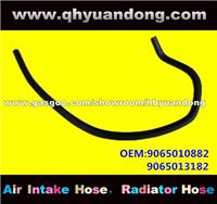 Truck Radiator Hose OEM:9065010882 9065013182