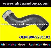 Truck Radiator Hose OEM:9065281182