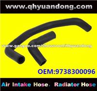 Truck Radiator Hose OEM:9738300096