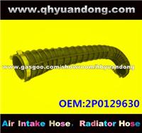 Truck Air Intake Hose OEM:2P0129630