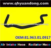 Truck Radiator Hose OEM:81.963.01.0917