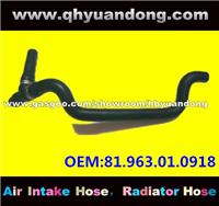 Truck Radiator Hose OEM:81.963.01.0918