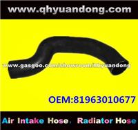 Truck Radiator Hose OEM:81963010677