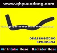 Truck Radiator Hose OEM:81963050300 81963050261