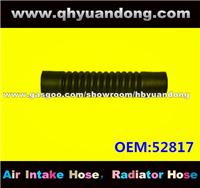 Truck Radiator Hose OEM:52817