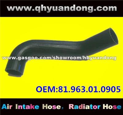 Truck Radiator Hose OEM:81.963.01.0905