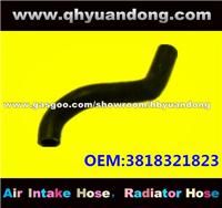 Truck Radiator Hose OEM:3818321823