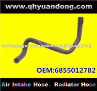 Truck Radiator Hose OEM:6855012782