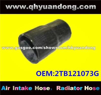 Truck Radiator Hose OEM:2TB121073G