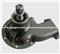 5001837331 / 5010284179 / 316GC3195 WATER PUMP