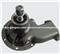 5001863728 / 5001863754 / 5001875237 / 7485003149 WATER PUMP