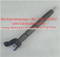 CNDIP 0445117024 BOSCH Common Rail Injector