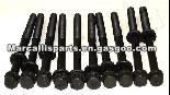 Cylinder Head Bolts 94580081