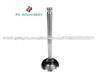 49003015000 Intake Valve For Xinchai A4K43G*14149690*