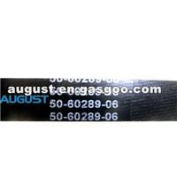 50-60289-06 CARRIER BELT TRANSICOLD : COMPRESSOR – ENGINE SUPRA ; REPLACEMENT
