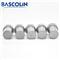Bascolin DN0SD299A Diesel Injection Nozzle Tip DN0SD299A - img3
