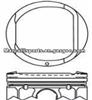 Nissan Piston 12010-ED000