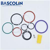 BASCOLIN Repair Kits F00HN37928 For Injector Pump