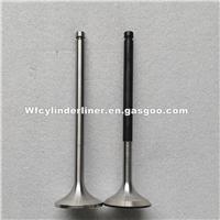 Yanmar 6AY Intake And Exhaust Engine Valve