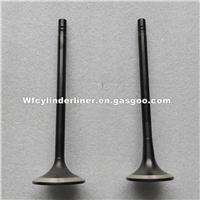 MITSUBISHI S6A2 Intake Valve And Exhaust Valve