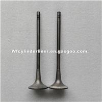 MITSUBISHI S6R2-F Intake Valve And Exhaust Valve