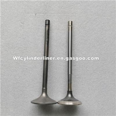 6M140 Intake Valve And Exhaust Valve