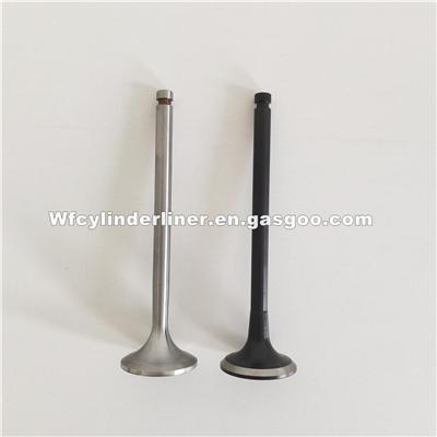 YANMAR 6HY Intake And Exhaust Engine Valve