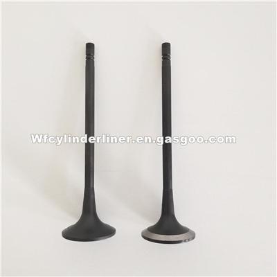 MITSUBISHI S6R2 Intake And Exhaust Engine Valve