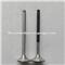Yanmar 6AY Intake And Exhaust Engine Valve - img1