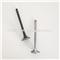 YANMAR 6HY Intake And Exhaust Engine Valve - img3