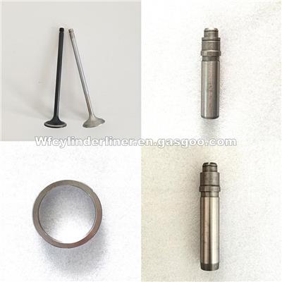 YANMAR 6EY Intake And Exhaust Engine Valve, Valve Guide, Seat