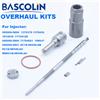 Bascolin Overhaul Kits For Injector 095000-5800 095000-5801 1980J7 1980J7 6C1Q-9K546-AC 1812618 For Citroen Fiat Ford Peugeot