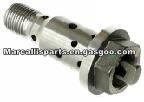 Mercedes-Benz VVT Solenoid 2720500478,2720500078,2720500278