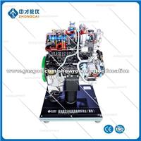 Diesel Engine Anatomy Display Stand