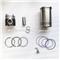 VOLVO 6099 Piston Liner Kit - img1