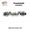 Engine Part Crankshaft C3929037 For Cummins 6BT Diesel Engine