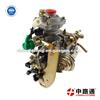 VE Fuel Injection Pump NJ-VE4/11E1800L016