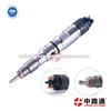 0445120225 Common Rail Injector For Weichai Wp10 Engine Diesel Fuel Injector