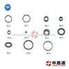 CR Fuel Nozzle Needle Valve Shim-CRIN Armature Lift Adjusting Shim