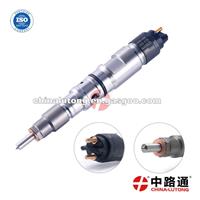 0445120225 Common Rail Injector For Weichai Wp10 Engine Diesel Fuel Injector