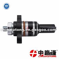 Diesel Fuel Plunger Assembly PN Plunger F 019 D03 313 Injector Pump Parts