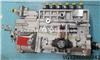 Fuel Injection Pump VG1246080342