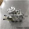 Fuel Injection Pump ​104661-4262
