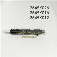 Common Rail Injector 2645K026 2645K016 2645K012