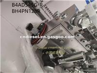 Fuel Injection Pump B4AD545G-R ​BH4PN120R